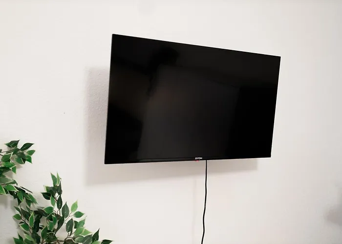 Fullhouse - B26 Medium - Berni Appartamento